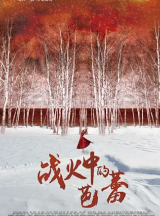 杜源(中國內地男演員、一級演員)