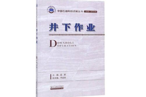 井下作業(2019年石油工業出版社出版的圖書) 井下作業(2019年石油工業出版社出版的圖書)