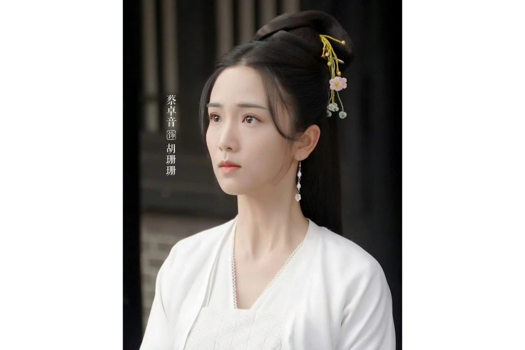 胡珊珊(古裝劇《柳葉摘星辰》中的女配角) 胡珊珊(古裝劇《柳葉摘星辰》中的女配角)