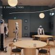 EVE(1X公司旗下的商用輪式人形機器人) EVE(1X公司旗下的商用輪式人形機器人)