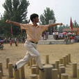 梅拳 梅拳