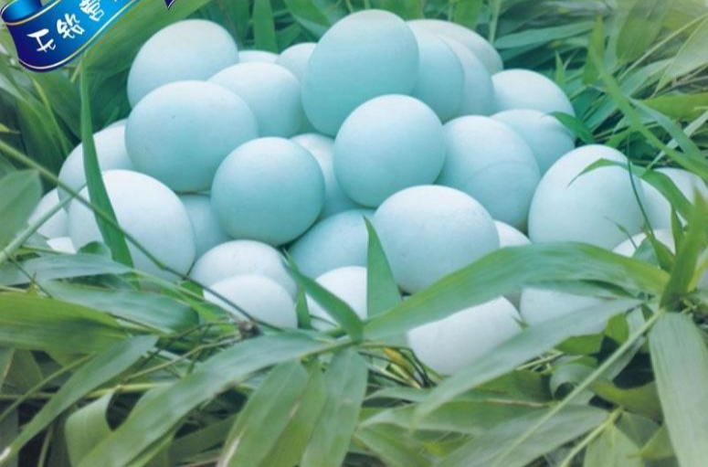 綠殼鴨蛋
