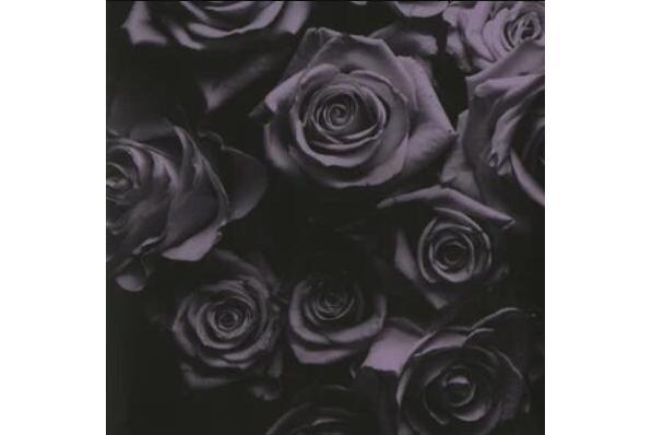 Pyrex Nights Pyrex Nights