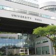 新加坡醫學院 新加坡醫學院