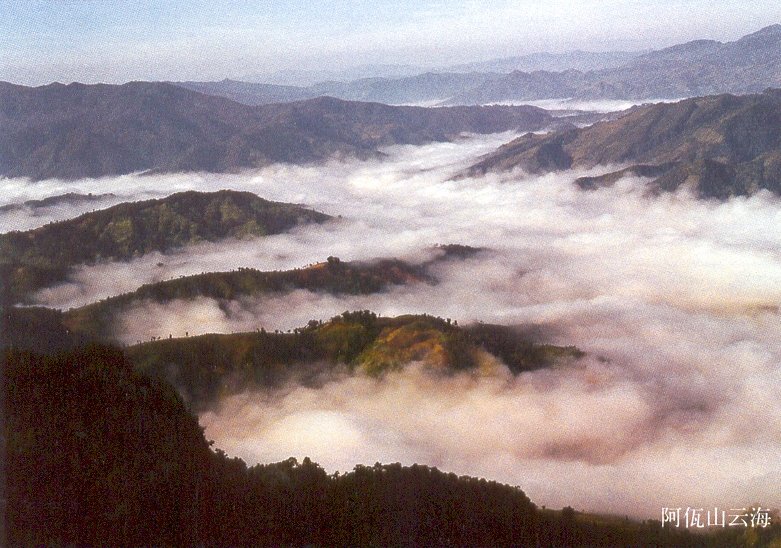 阿佤山雲海