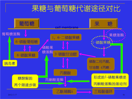 果糖代謝