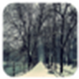 天空飄著雪 天空飄著雪