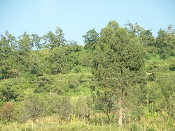 雙深溝村 雙深溝村