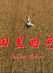 劉琳(中國內地女演員) 劉琳(中國內地女演員)