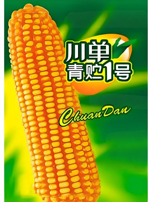 川單青貯1號 川單青貯1號