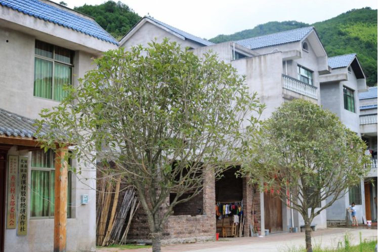 景溪村 景溪村