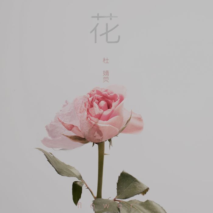 花(2019年杜婧熒演唱歌曲) 花(2019年杜婧熒演唱歌曲)