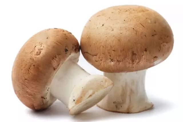 蘑菇炒萵筍
