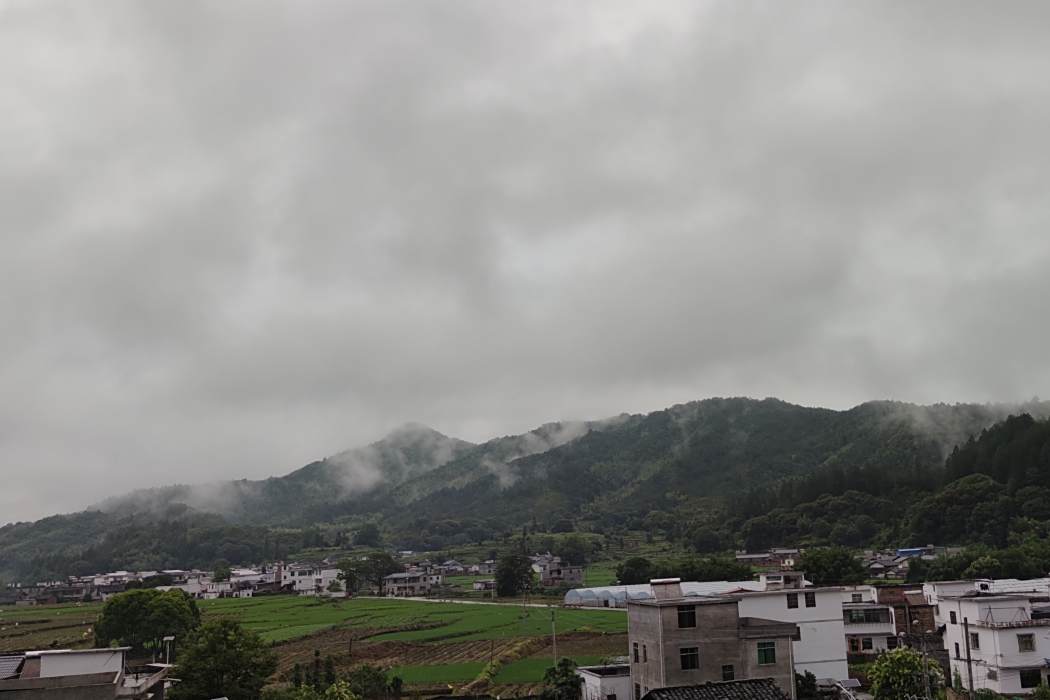 田在村 田在村