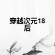 穿越次元18後 穿越次元18後