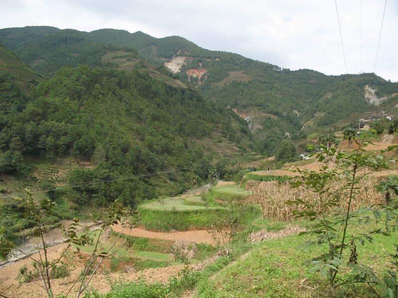 箐腦地村 箐腦地村