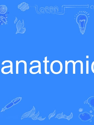 anatomic anatomic