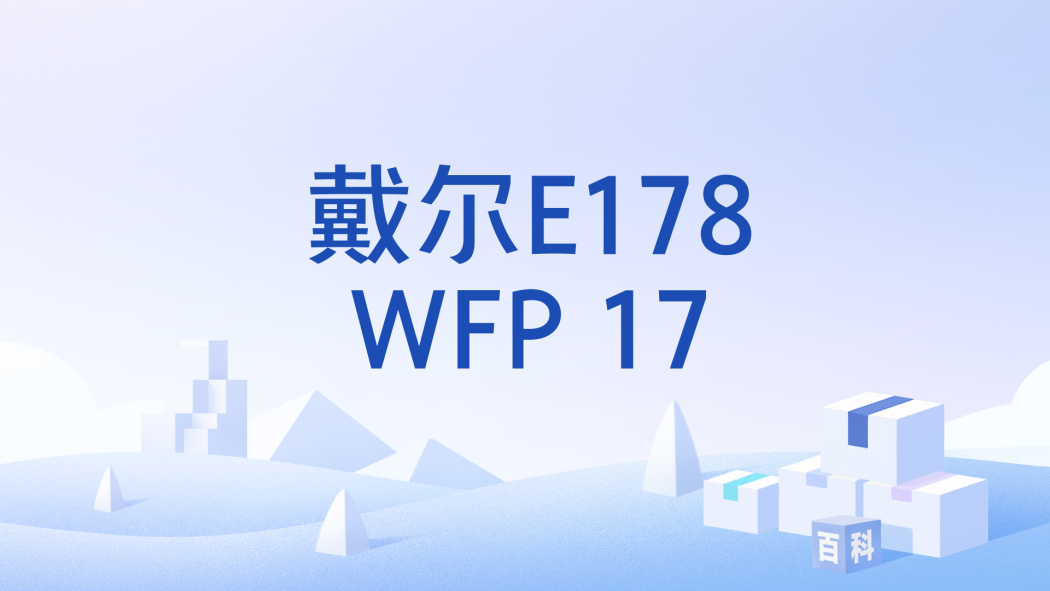 戴爾E178WFP 17