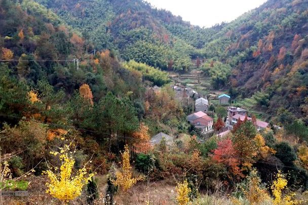 朱錫嶺古道 朱錫嶺古道