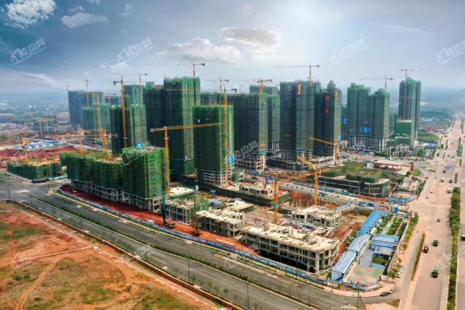 建工城 建工城
