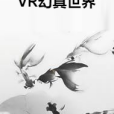 VR幻真世界 VR幻真世界