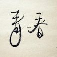 青春麥詞 青春麥詞