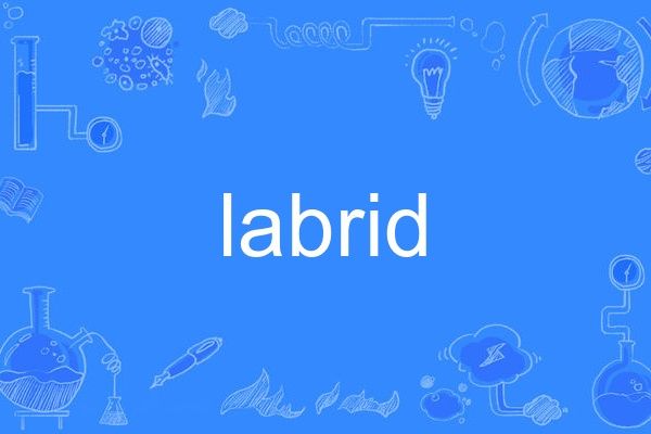 labrid labrid