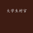 大學生村官(謝宗兵創作的小說) 大學生村官(謝宗兵創作的小說)