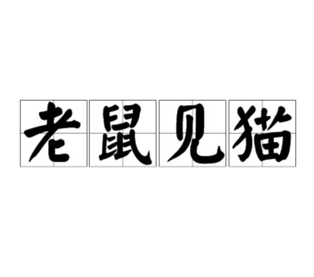 老鼠見貓 老鼠見貓