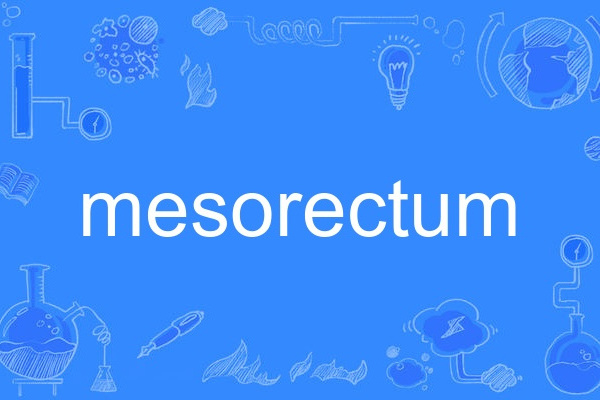mesorectum mesorectum