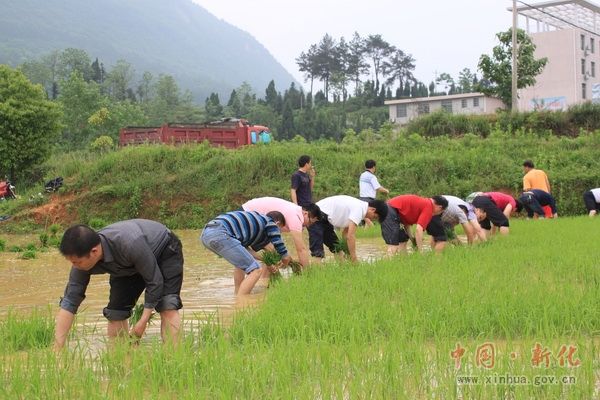 油溪村(浙江省開化縣張灣鄉下轄村) 油溪村(浙江省開化縣張灣鄉下轄村)