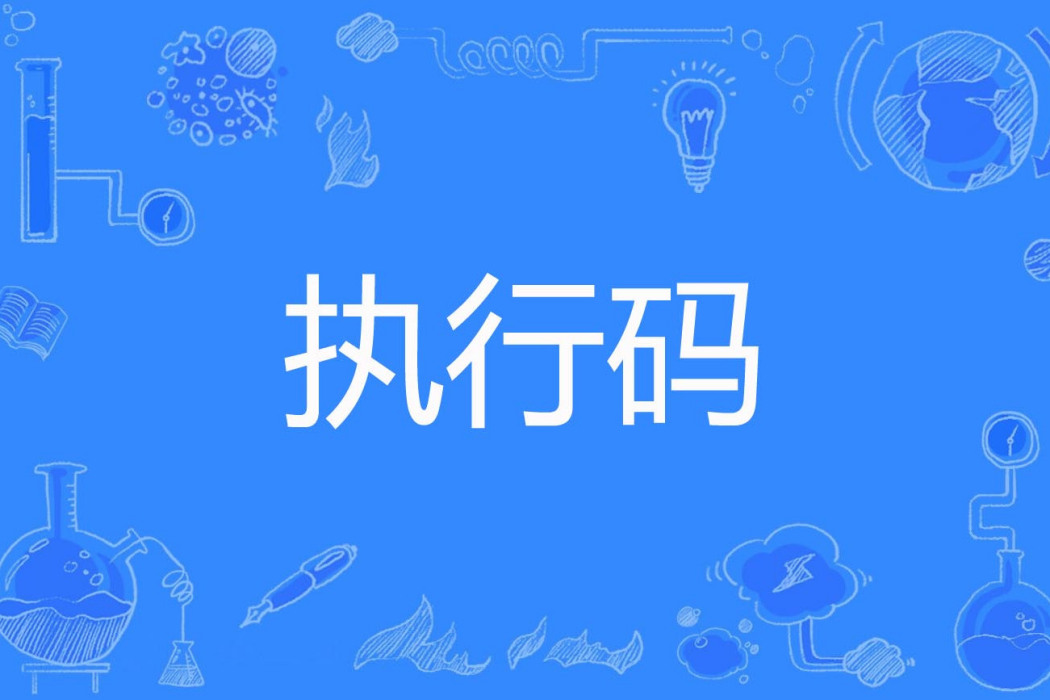 執行碼 執行碼