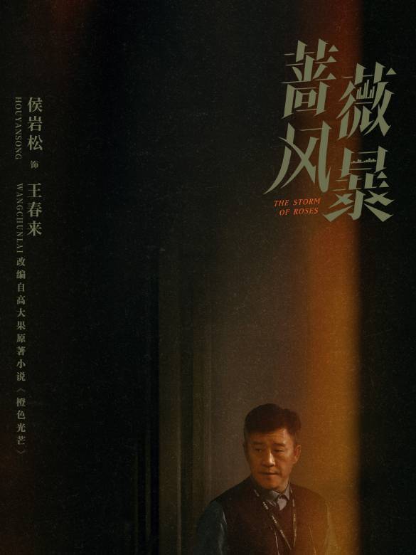 薔薇風暴(2024年惠楷棟執導的職場劇)