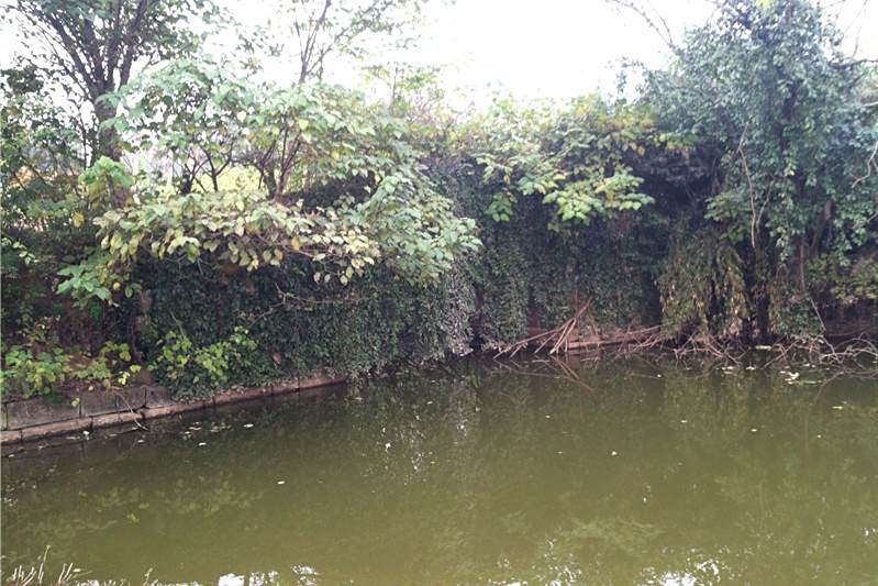 彎壩橋