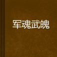 軍魂武魄 軍魂武魄
