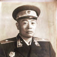 龍開富 龍開富