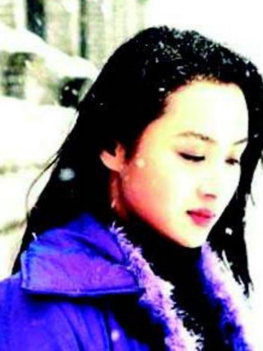 丁潔(《大雪無痕》中的角色) 丁潔(《大雪無痕》中的角色)