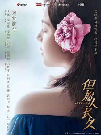 卜文革