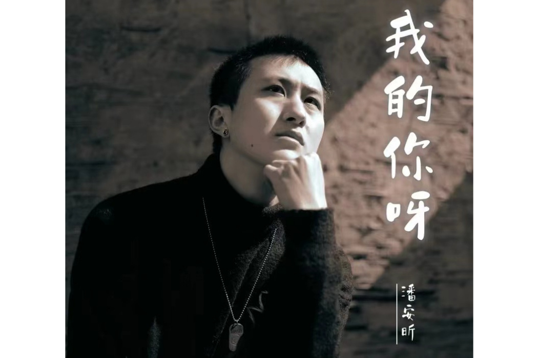 我的你呀(潘安昕演唱歌曲) 我的你呀(潘安昕演唱歌曲)