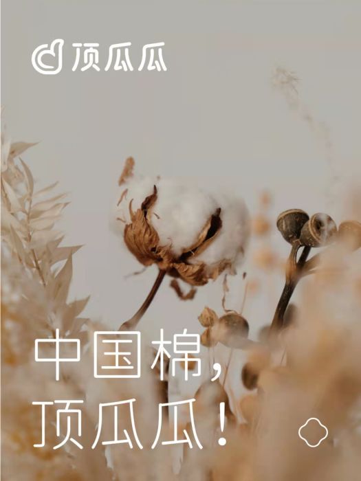 頂瓜瓜 頂瓜瓜