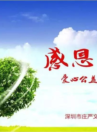 陶玉玲 陶玉玲