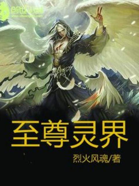 至尊靈界(烈火風魂所著小說) 至尊靈界(烈火風魂所著小說)