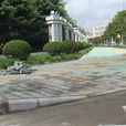 緣石坡道 緣石坡道