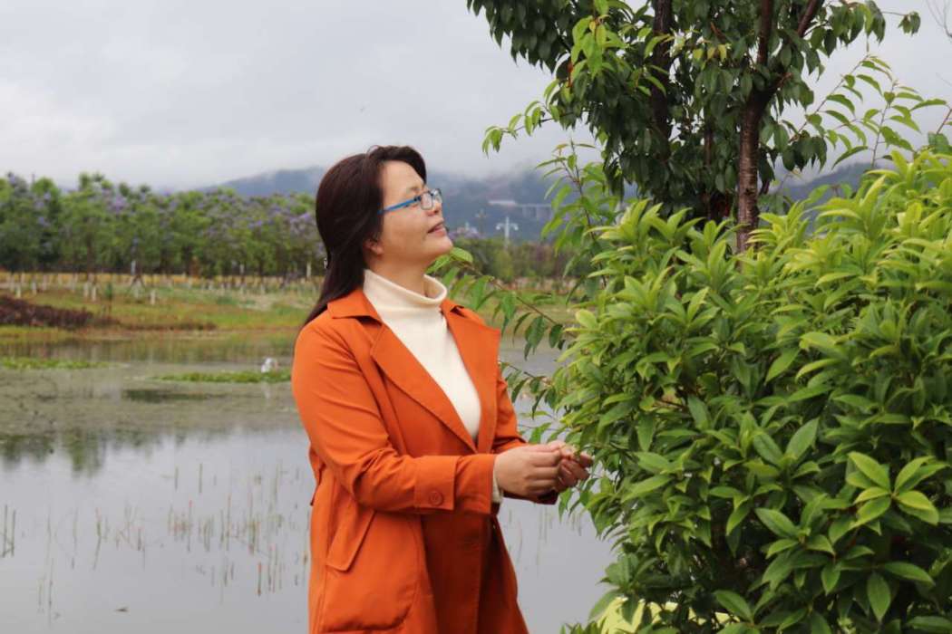 李璐(西南林業大學,植物學老師) 李璐(西南林業大學,植物學老師)