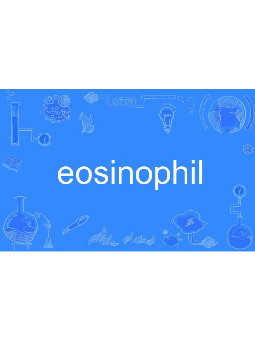 eosinophil eosinophil
