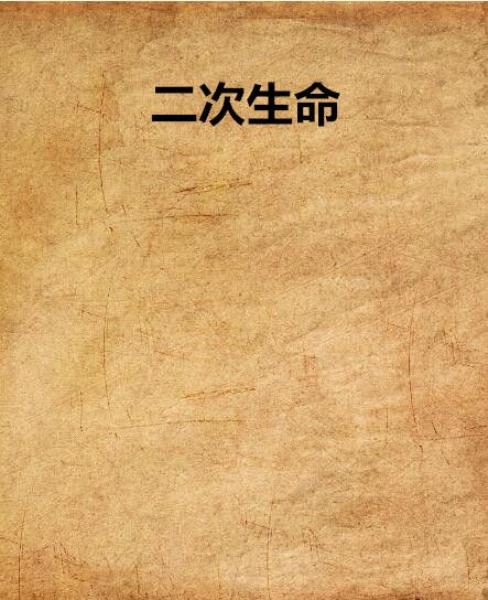 二次生命 二次生命