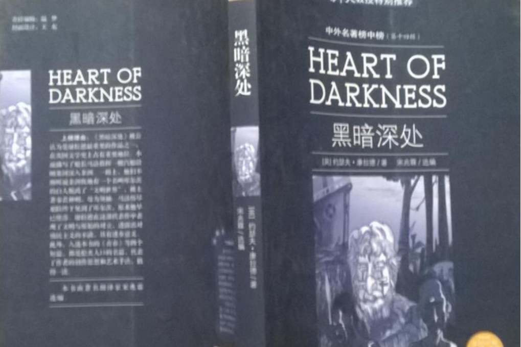 黑暗深處(2008年光明日報出版社出版的圖書)