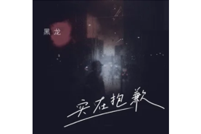實在抱歉 實在抱歉