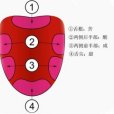 脫苦處理 脫苦處理
