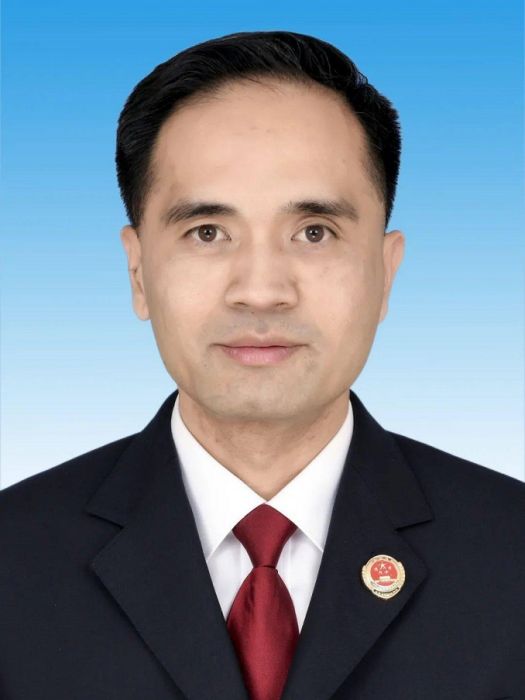 馮亮(廣東省肇慶市人民檢察院黨組書記、檢察長) 馮亮(廣東省肇慶市人民檢察院黨組書記、檢察長)